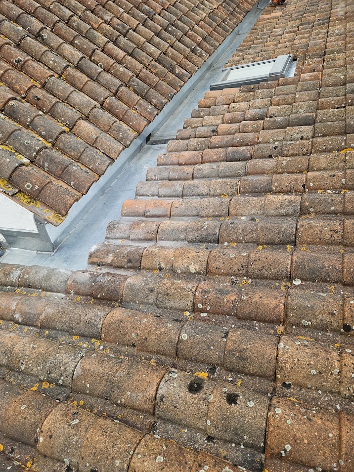 Renovation de couverture
